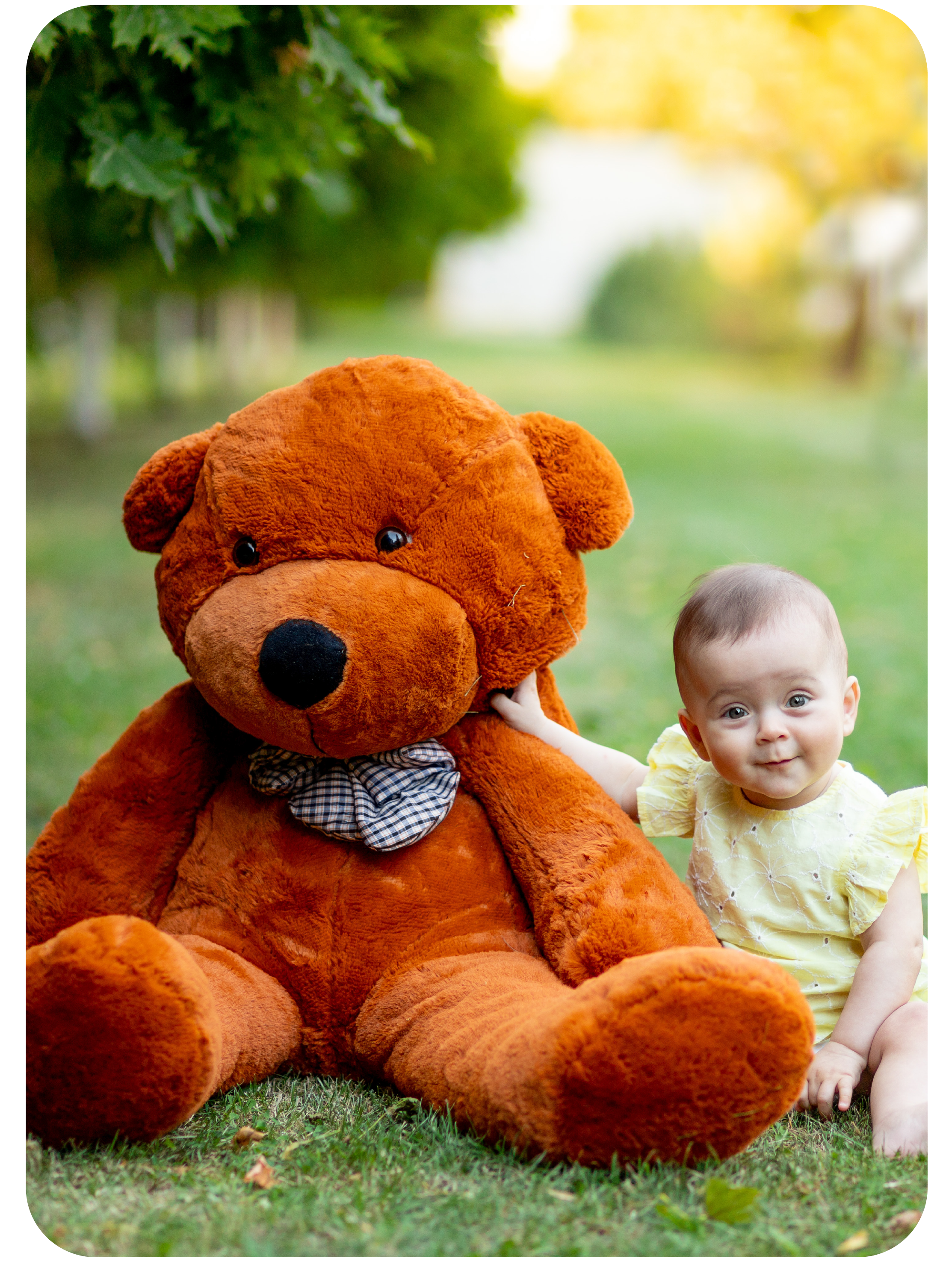 Safe & Hygienic Soft Toy Cleaning